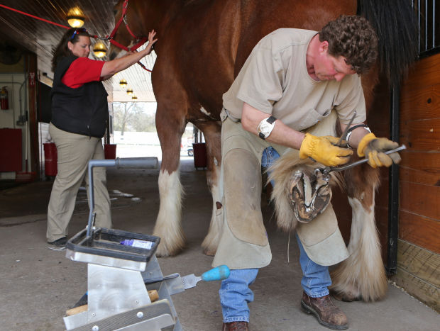 Grant's Farm gets ready for opening day